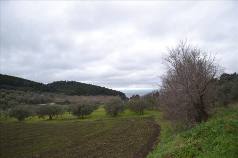 8200m² Land in Chalkidiki, Greece No. 59908 8