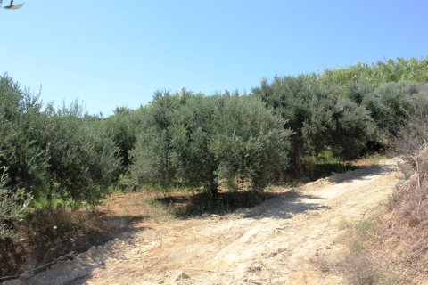 3500m² Land à Platanias, Greece No. 59560 3