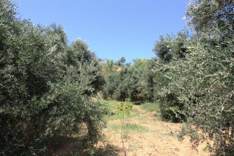 3500m² Land in Platanias, Greece No. 59560 5