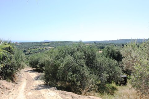 3500m² Land in Platanias, Greece No. 59560 4