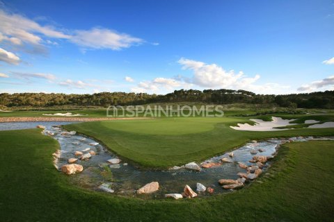 4 chambres Villa à San Miguel de Salinas, Spain No. 26756 10