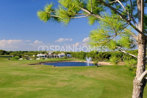 4 bedrooms Villa in San Miguel de Salinas, Spain No. 26756 7