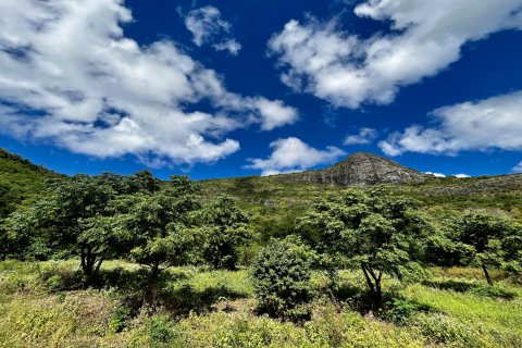 Land in Pailles, Mauritius No. 60826 2