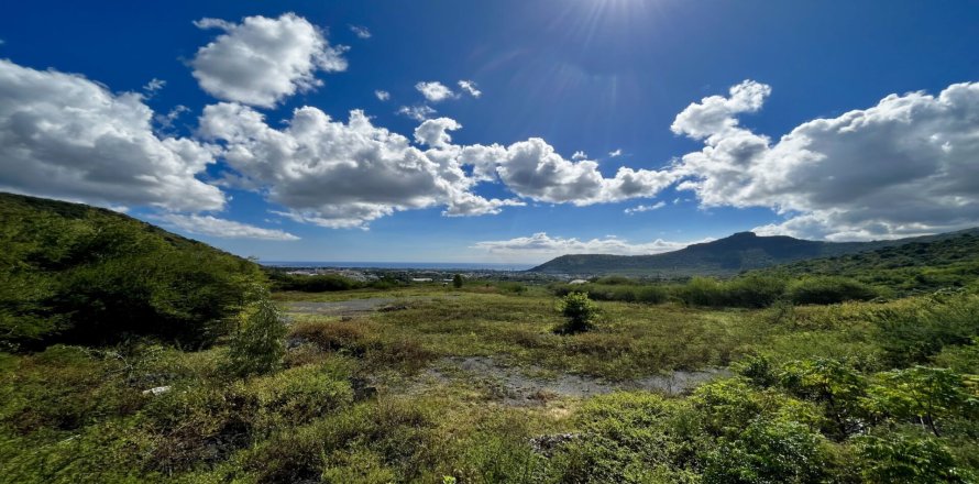 Land en Pailles, Mauritius No. 60827