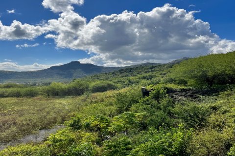 Land in Pailles, Mauritius No. 60827 4