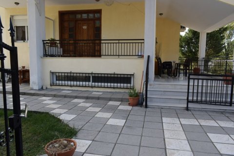 5 bedrooms House in Vasilika, Greece No. 56346 15