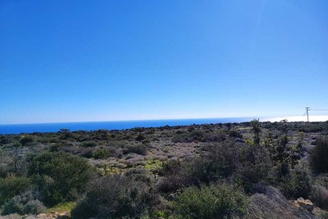 11210m² Land en Pissouri, Cyprus No. 36021 4