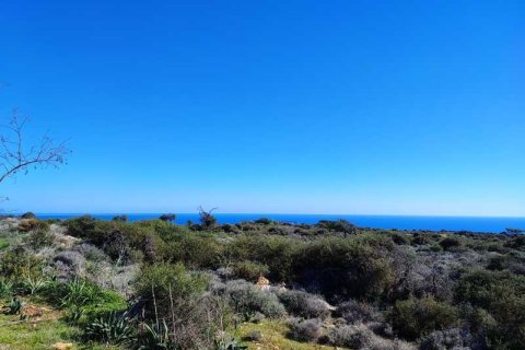 11210m² Land en Pissouri, Cyprus No. 36021 2