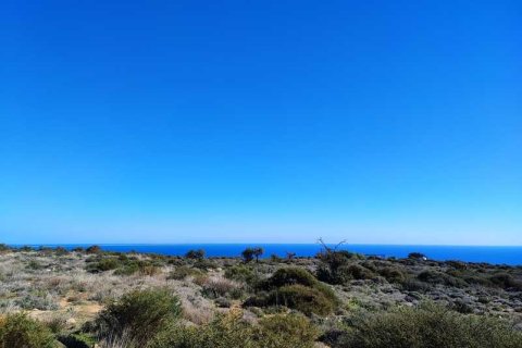 11210m² Land en Pissouri, Cyprus No. 36021 5