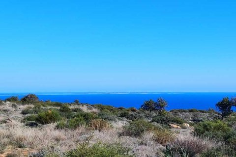 11210m² Land en Pissouri, Cyprus No. 36021 6