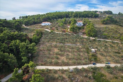 2564m² Land en Sporades, Greece No. 58428 1