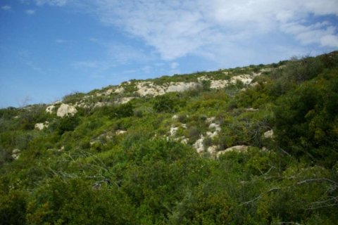 Land in Zakynthos, Greece No. 28083 3