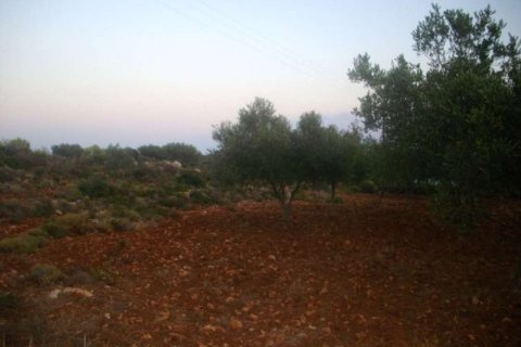 Land in Zakynthos, Greece No. 28083 6