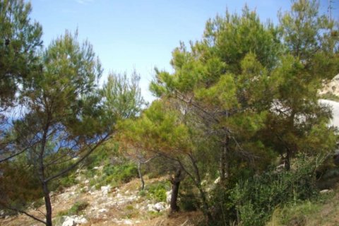 Land in Zakynthos, Greece No. 28083 5