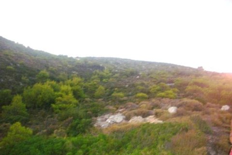 Land in Zakynthos, Greece No. 28083 8