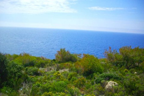 Land à Zakynthos, Greece No. 28083 7