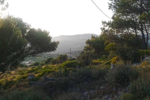 Land in Zakynthos, Greece No. 28071 7