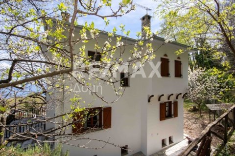 4 bedrooms House in Mouresi, Greece No. 28005 5