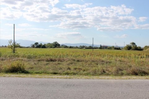 6750m² Land in Katerini, Greece No. 58500 3