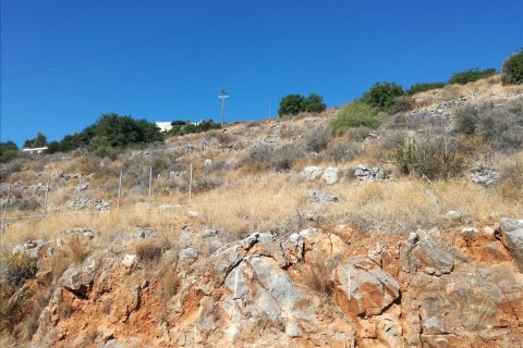 6975m² Land en Agios Nikolaos, Greece No. 58498 4