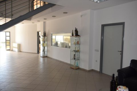 800m² Business in Chalkidiki, Greece No. 58497 13