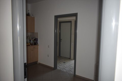 Готовый бизнес 800м² в Халкидики, Греция №58497 12