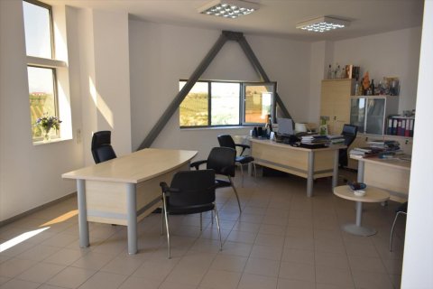 800m² Business in Chalkidiki, Greece No. 58497 10