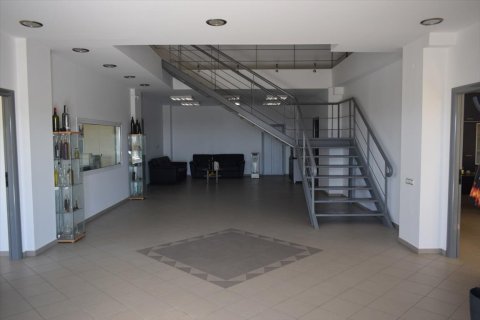 800m² Business in Chalkidiki, Greece No. 58497 7