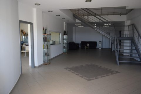 800m² Business in Chalkidiki, Greece No. 58497 8