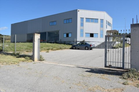 800m² Business in Chalkidiki, Greece No. 58497 2