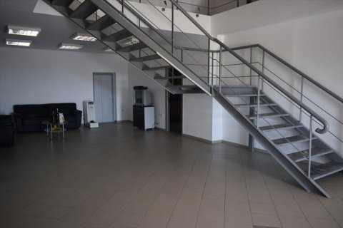 Готовый бизнес 800м² в Халкидики, Греция №58497 11