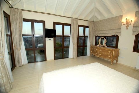 Studio Villa in Paphos, Cyprus No. 49823 9