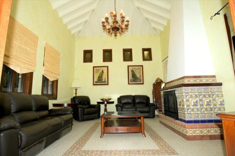 Studio Villa in Paphos, Cyprus No. 49823 7