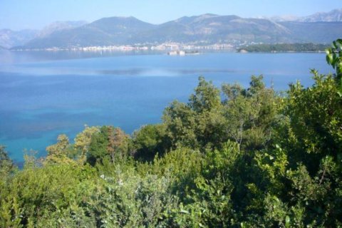 6137m² Land in Tivat, Montenegro No. 66878 6