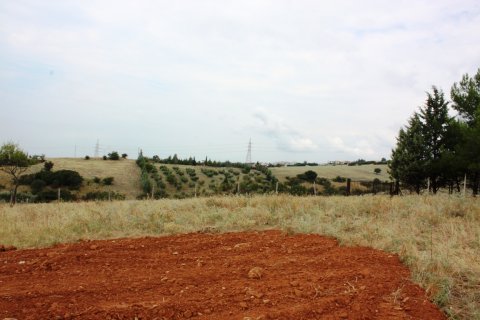 4200m² Land à Panorama, Greece No. 59486 5