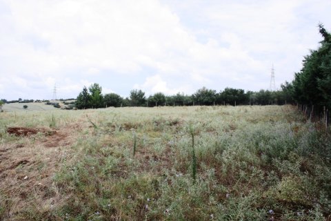 4200m² Land in Panorama, Greece No. 59486 3