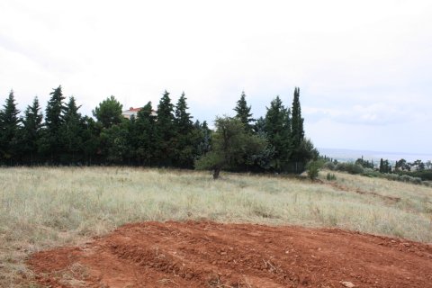 4200m² Land en Panorama, Greece No. 59486 6