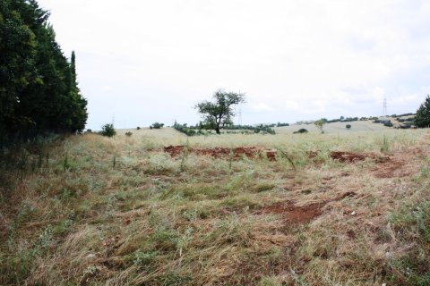 4200m² Land à Panorama, Greece No. 59486 4