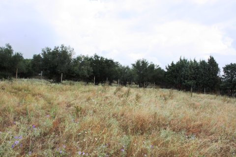 4200m² Land à Panorama, Greece No. 59486 7