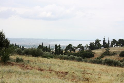 4200m² Land à Panorama, Greece No. 59486 1