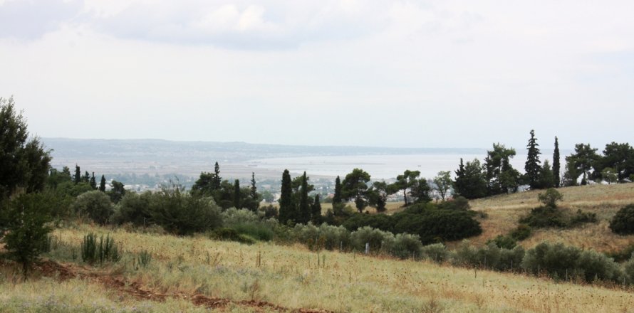 4200m² Land en Panorama, Greece No. 59486