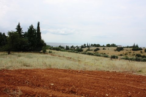 4200m² Land in Panorama, Greece No. 59486 2