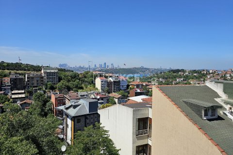 4+1 Apartment in Istanbul, Turkey No. 21626 1