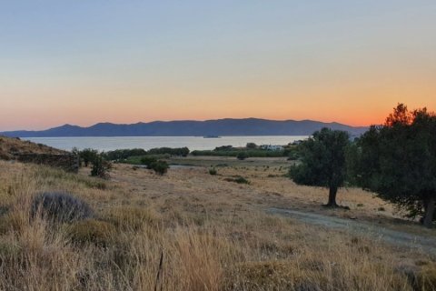 13700m² Land in Karystos, Greece No. 52728 2