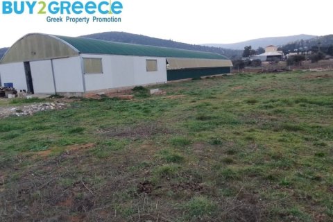 13600m² Land in Athens, Greece No. 52732 2