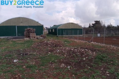 13600m² Land in Athens, Greece No. 52732 3