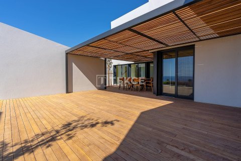 4+1 Villa à Milas, Turkey No. 11697 22