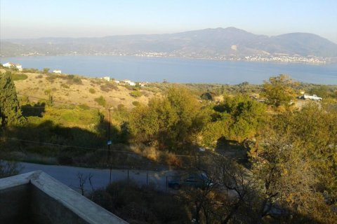 1 bedroom Villa in Central Greece, Greece No. 49987 6