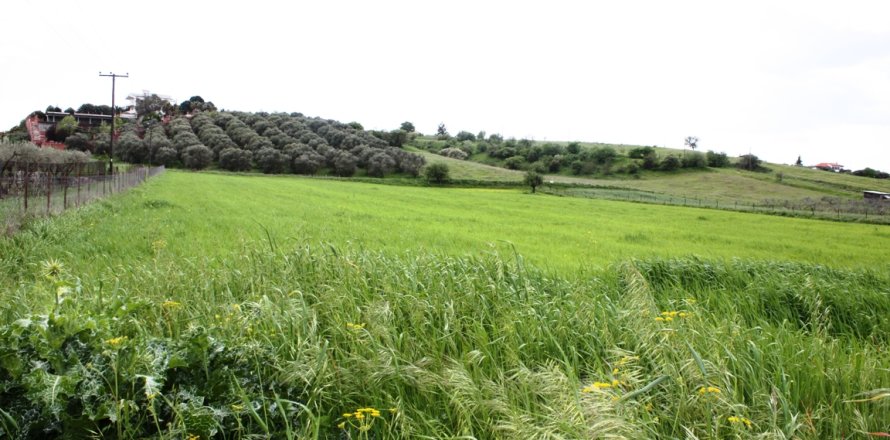 10500m² Land in Thermi, Greece No. 59724