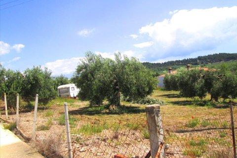 4578m² Land à Polygyros, Greece No. 59725 7